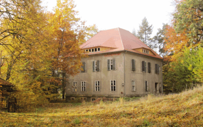 Erhaltungsmaßnahmen am Burggässchen am Sa, den 21.9.2024
