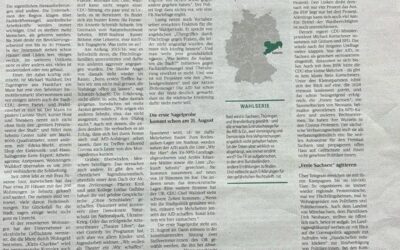 Zukunft Sebnitz – jetzt rechtsextrem?
